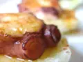 Tentáculos de pulpo a la plancha, dorados y jugosos, servidos sobre una base cremosa.