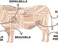 Diagrama de las partes de la vaca para niños, mostrando cortes como espaldilla, falda, rabo y morcillo.