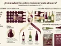 La composición del vino se muestra en botellas de diversos tamaños y formas, comparando el estándar de 0,75 L con formatos más grandes como Magnum.