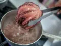 Un pulpo rosado, con sus ventosas visibles, es retirado de una olla burbujeante con pinzas. El proceso de cocer pulpo está en marcha.