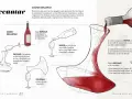 Ilustración explica cómo decantar un vino tinto, aireándolo y separando sedimentos. Incluye pasos como reposar, envinare, verter y dejar reposar en el decantador.