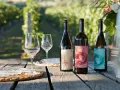 Tres botellas de vino del año con etiquetas artísticas, copas y platos sobre una mesa de madera rústica, con un viñedo al fondo.
