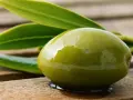 Aceituna verde brillante, recién cosechada, con hojas de olivo. Un verdeo que es pura frescura y sabor mediterráneo.