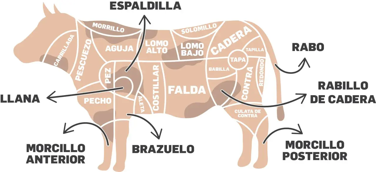 Diagrama de las partes de la vaca para niños, mostrando cortes como espaldilla, falda, rabo y morcillo.