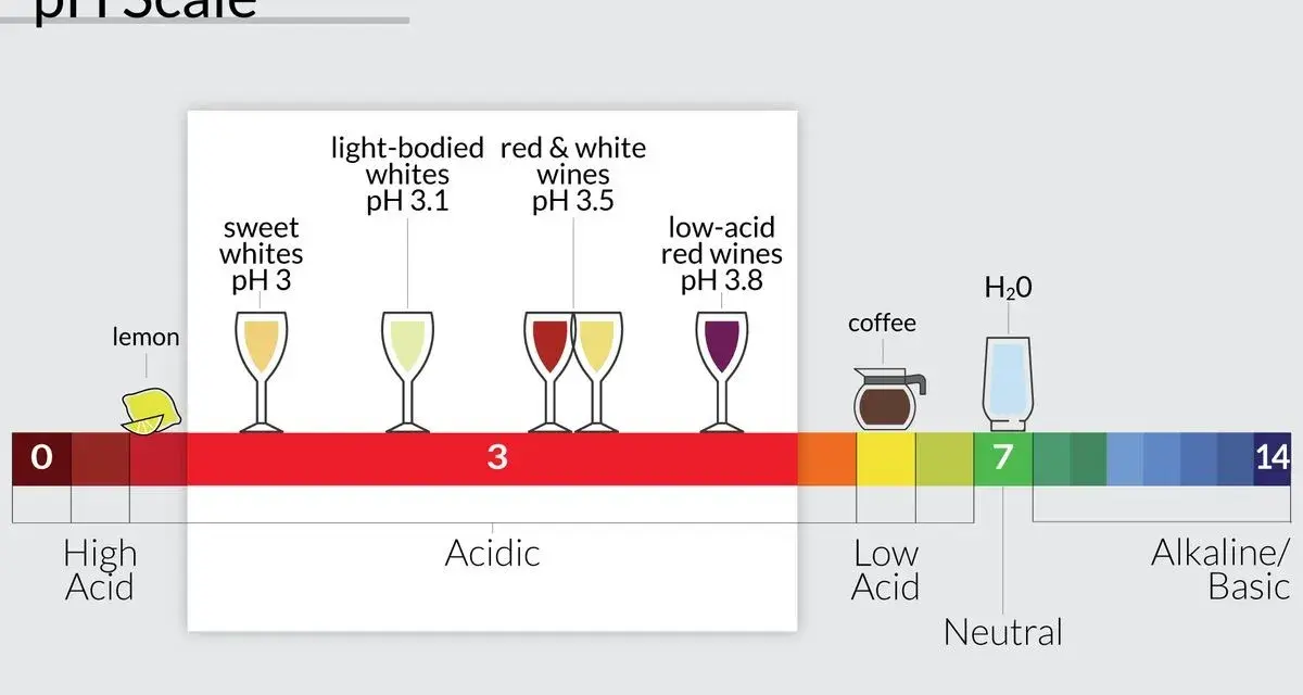 La escala de pH muestra la acidez del vino, desde limones muy ácidos hasta vinos con bajo contenido ácido.