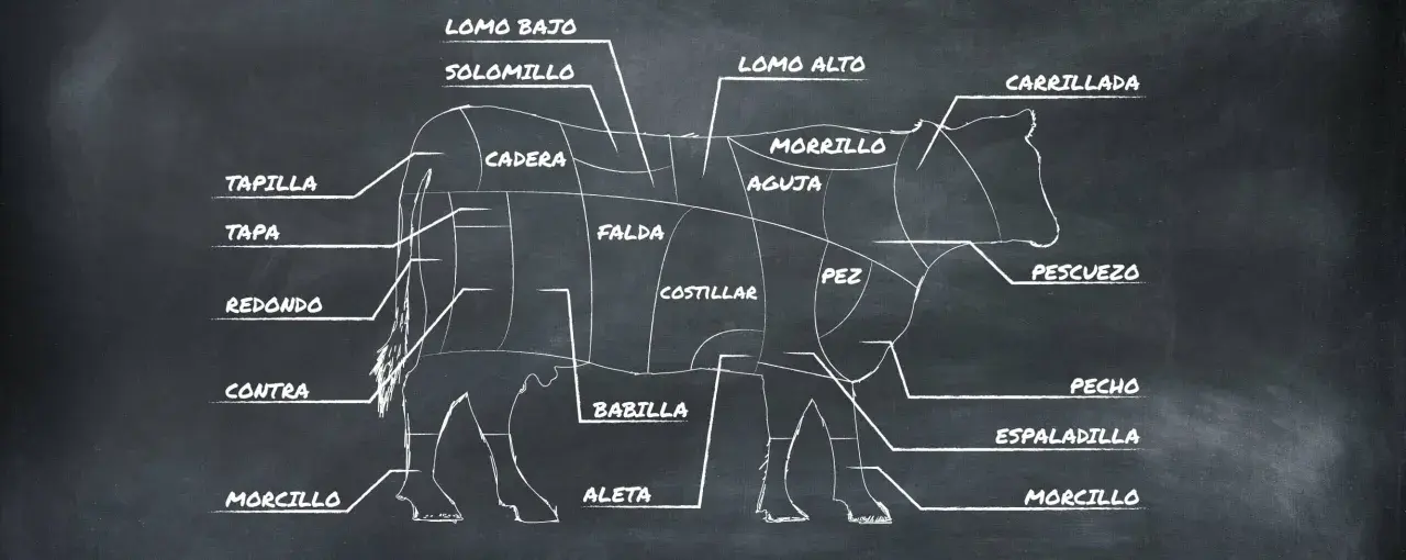 Diagrama de las partes de la vaca, mostrando cortes como solomillo, lomo alto, falda y morcillo.