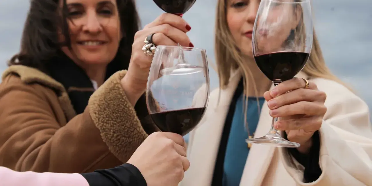 Brindis con copas de vino tinto, celebrando la calidad de la denominación de origen Rioja.