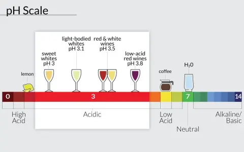 La escala de pH muestra la acidez del vino, desde limones muy ácidos hasta vinos con bajo contenido ácido.