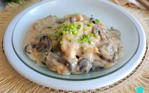 Pollo con champiñones en cremosa salsa de vino blanco, adornado con cebollino fresco. Un plato delicioso y reconfortante.