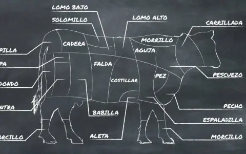 Diagrama de las partes de la vaca, mostrando cortes como solomillo, lomo alto, falda y morcillo.