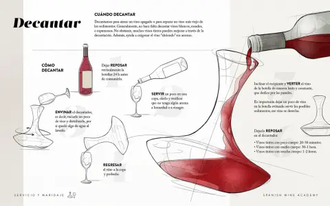 Ilustración explica cómo decantar un vino tinto, aireándolo y separando sedimentos. Incluye pasos como reposar, envinare, verter y dejar reposar en el decantador.