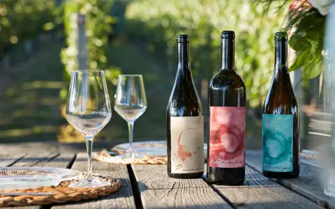 Tres botellas de vino del año con etiquetas artísticas, copas y platos sobre una mesa de madera rústica, con un viñedo al fondo.