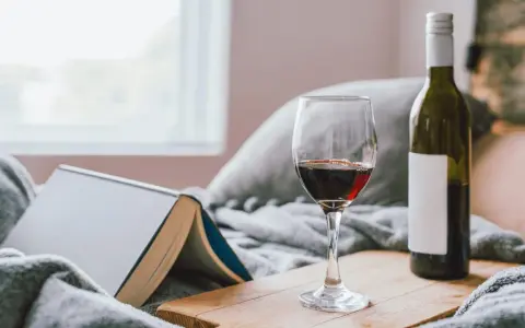 Copa de vino tinto y botella, junto a un libro abierto, sobre una manta gris. Un momento de relax con vino en España.