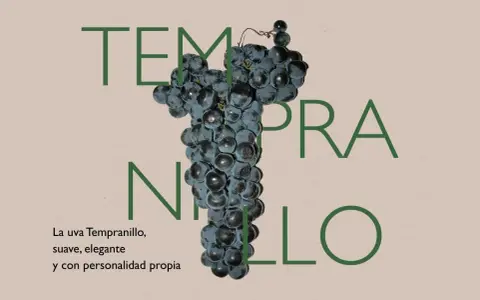 Racimo de uva tinto fino Tempranillo, suave, elegante y con personalidad propia.
