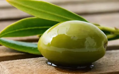 Aceituna verde brillante, recién cosechada, con hojas de olivo. Un verdeo que es pura frescura y sabor mediterráneo.