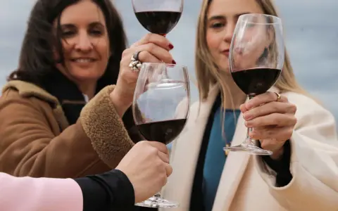 Brindis con copas de vino tinto, celebrando la calidad de la denominación de origen Rioja.