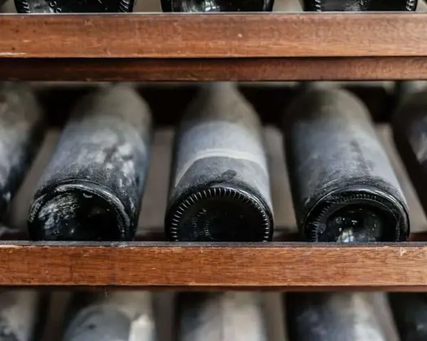 Botellas de vino añejo en estantería de madera, cubiertas de polvo y con el sedimento del vino visible.