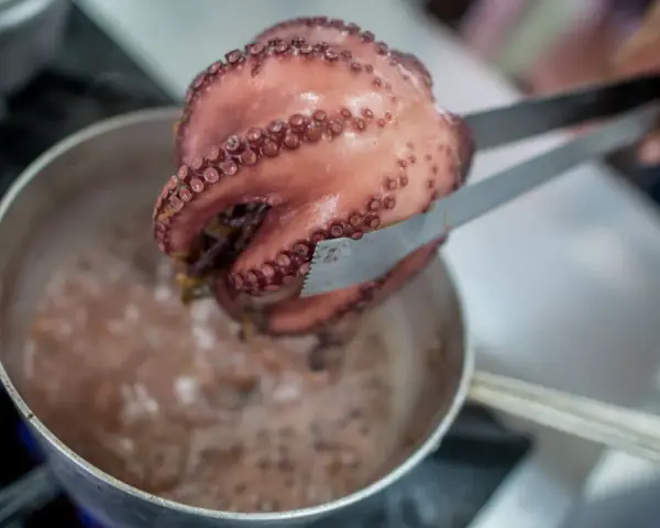 Un pulpo rosado, con sus ventosas visibles, es retirado de una olla burbujeante con pinzas. El proceso de cocer pulpo está en marcha.