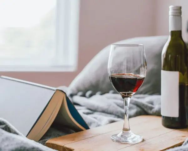 Copa de vino tinto y botella, junto a un libro abierto, sobre una manta gris. Un momento de relax con vino en España.