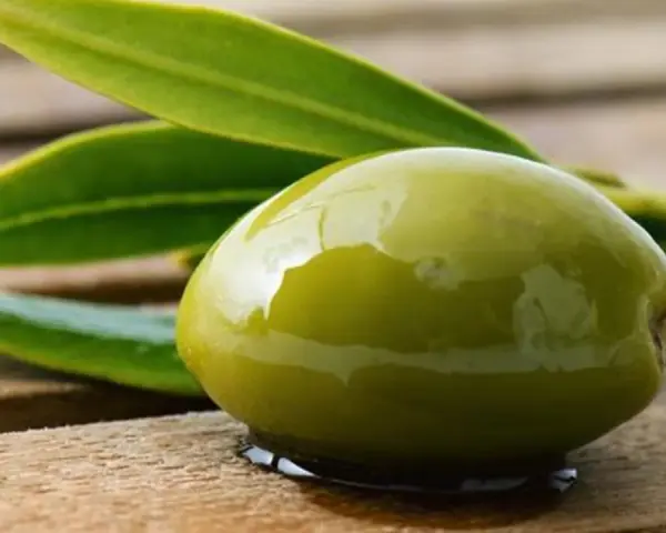Aceituna verde brillante, recién cosechada, con hojas de olivo. Un verdeo que es pura frescura y sabor mediterráneo.