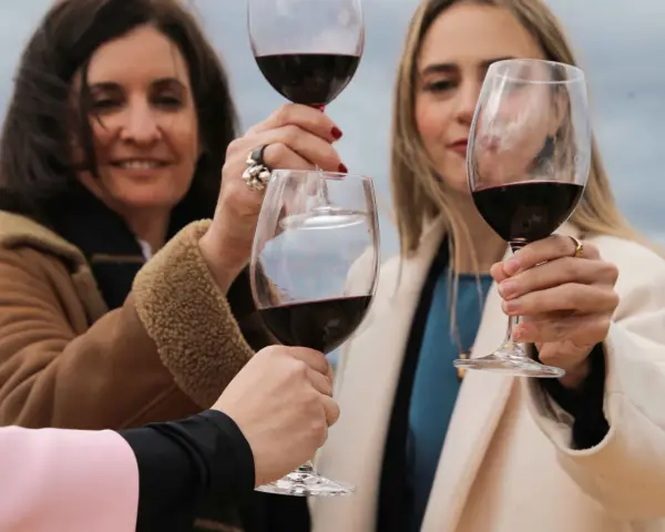 Brindis con copas de vino tinto, celebrando la calidad de la denominación de origen Rioja.