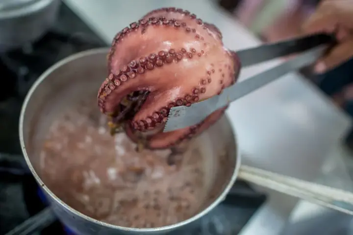 Un pulpo rosado, con sus ventosas visibles, es retirado de una olla burbujeante con pinzas. El proceso de cocer pulpo está en marcha.