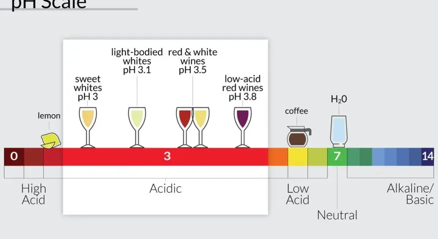 La escala de pH muestra la acidez del vino, desde limones muy ácidos hasta vinos con bajo contenido ácido.