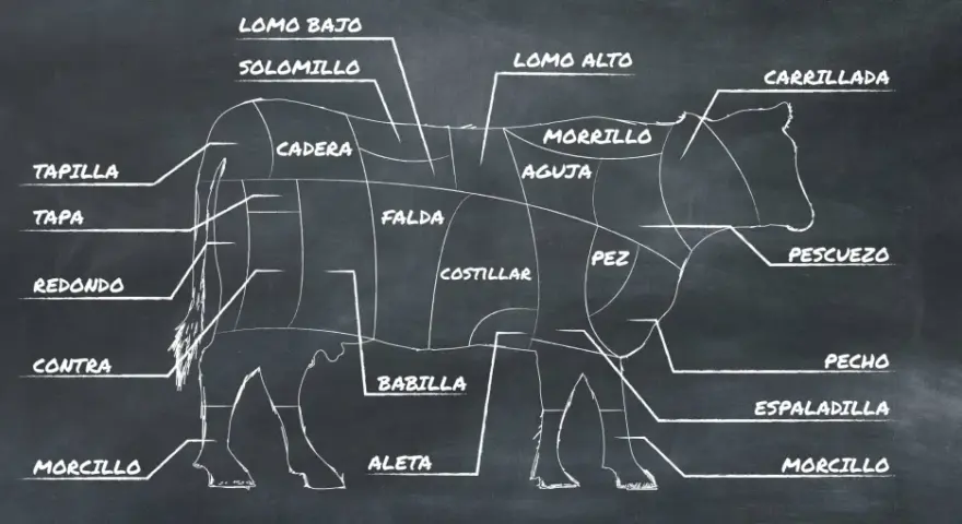 Diagrama de las partes de la vaca, mostrando cortes como solomillo, lomo alto, falda y morcillo.