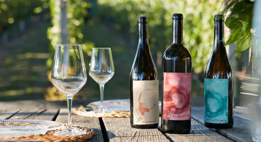 Tres botellas de vino del año con etiquetas artísticas, copas y platos sobre una mesa de madera rústica, con un viñedo al fondo.