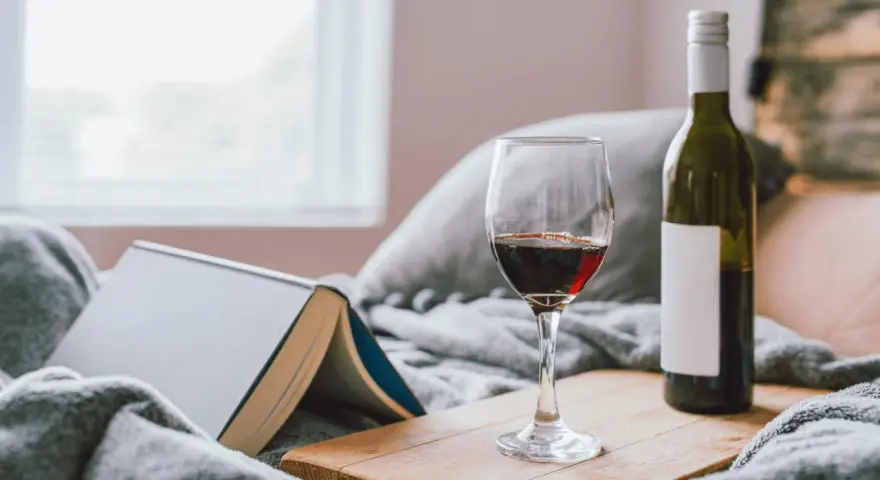 Copa de vino tinto y botella, junto a un libro abierto, sobre una manta gris. Un momento de relax con vino en España.