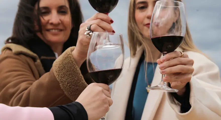 Brindis con copas de vino tinto, celebrando la calidad de la denominación de origen Rioja.