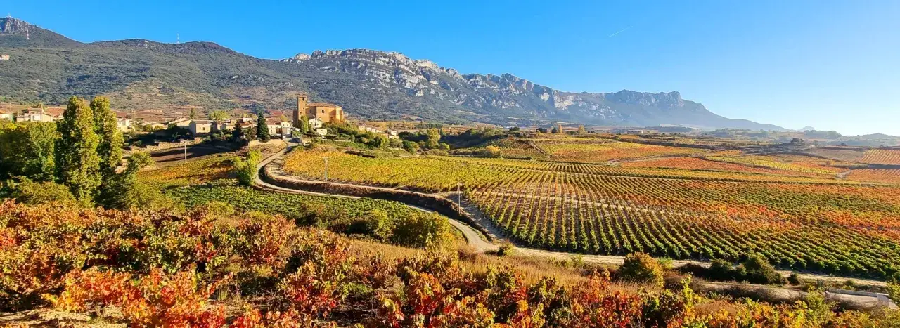 Paisaje otoñal de viñedos en la Rioja Alavesa, con un pueblo y montañas al fondo. El lugar perfecto para encontrar los mejores vinos de la Rioja Alavesa.