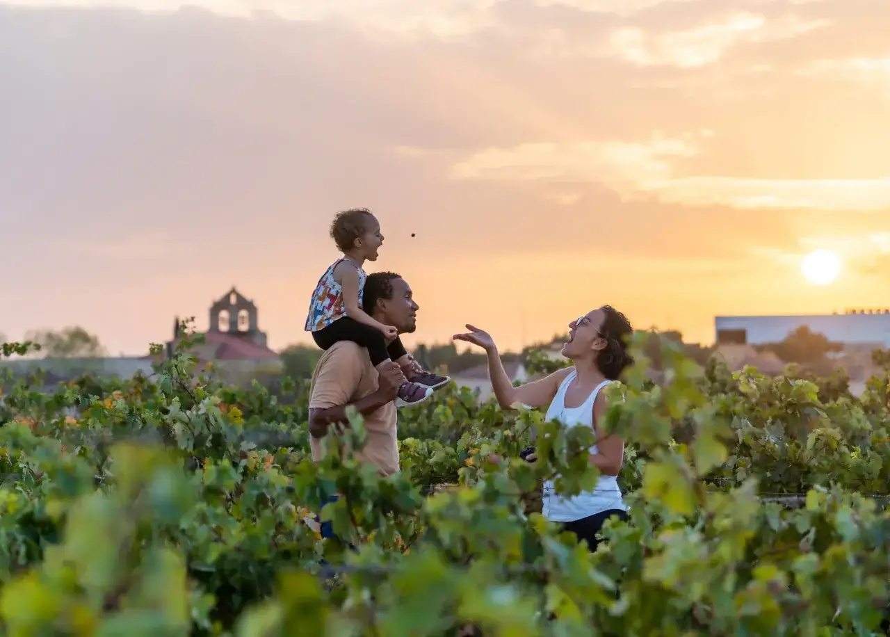 Familia disfrutando del atardecer en un viñedo, celebrando la cosecha Ribera del Duero.