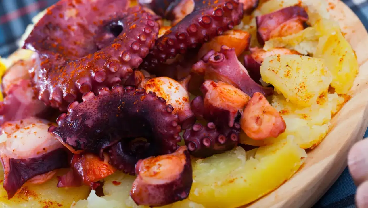 Tentáculos de pulpo a la gallega, tiernos y sabrosos, servidos sobre patatas cocidas y espolvoreados con pimentón.
