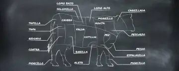 Diagrama de las partes de la vaca, mostrando cortes como solomillo, lomo alto, falda y morcillo.