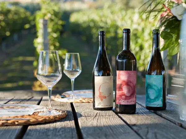 Tres botellas de vino del año con etiquetas artísticas, copas y platos sobre una mesa de madera rústica, con un viñedo al fondo.