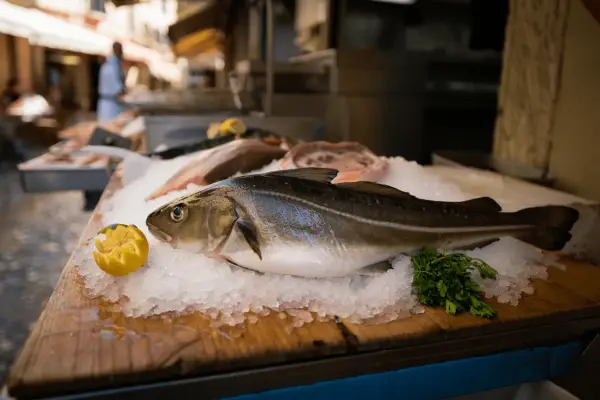 Pescado fresco en hielo, listo para deliciosas recetas de bacalao. Limón y perejil acompañan.