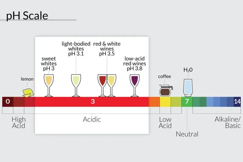 La escala de pH muestra la acidez del vino, desde limones muy ácidos hasta vinos con bajo contenido ácido.