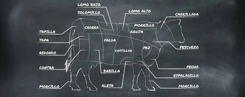 Diagrama de las partes de la vaca, mostrando cortes como solomillo, lomo alto, falda y morcillo.