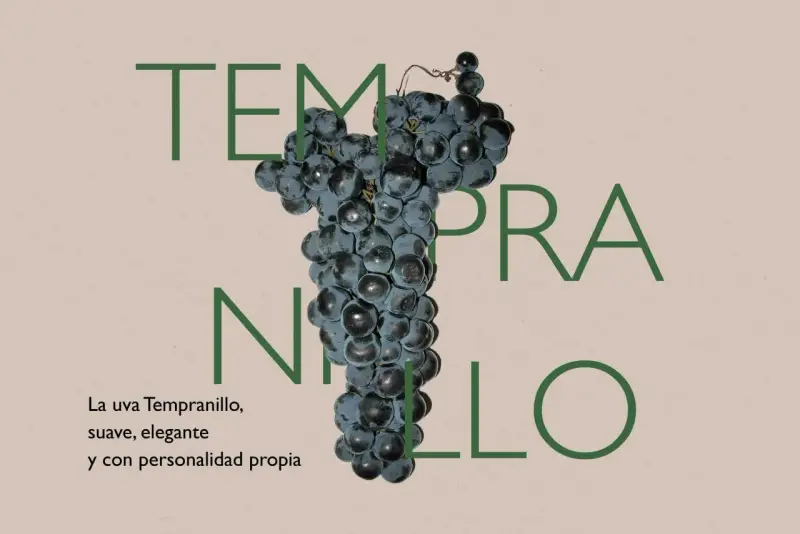 Racimo de uva tinto fino Tempranillo, suave, elegante y con personalidad propia.